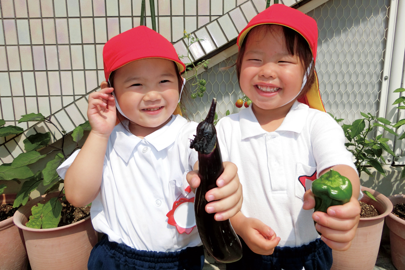 野菜収穫